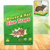 1238 Mice Traps Sticky Boards Strongly Adhesive That Work Capturing Indoor and Outdoor