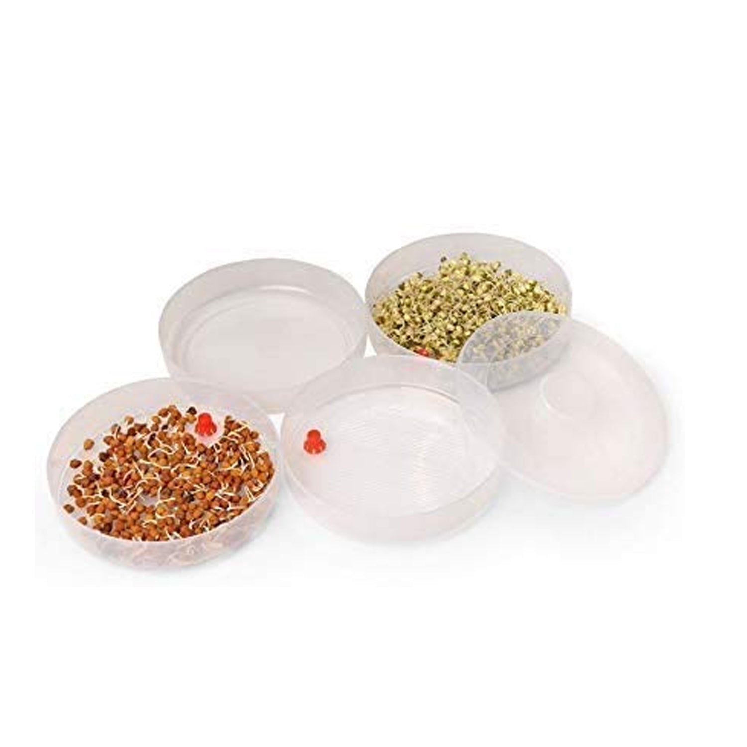 070 Plastic 4 Compartment Sprout Maker, White Royal -X Impex