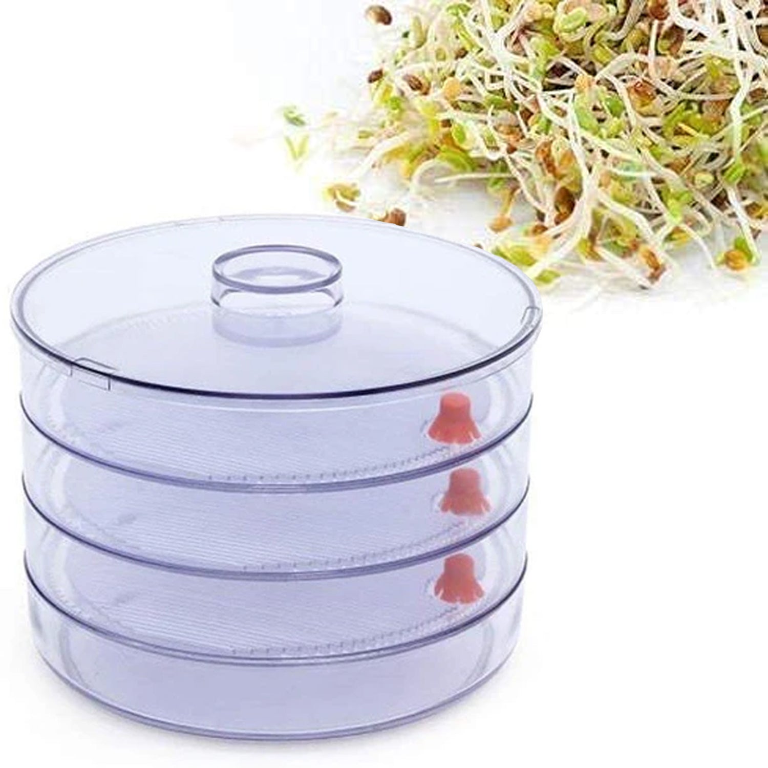 070 Plastic 4 Compartment Sprout Maker, White Royal -X Impex