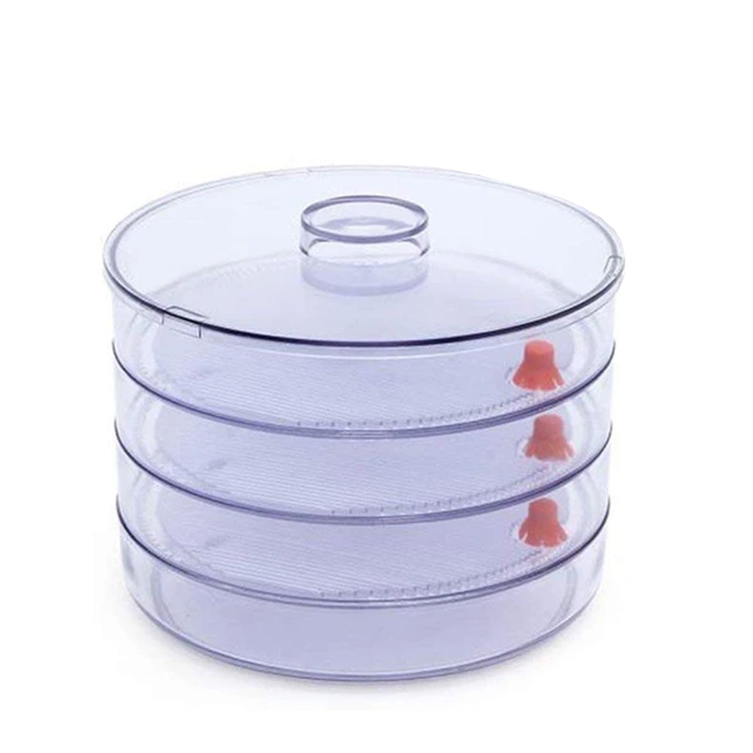 070 Plastic 4 Compartment Sprout Maker, White Royal -X Impex